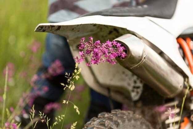 Best ATVs for Beginners – What to Look For