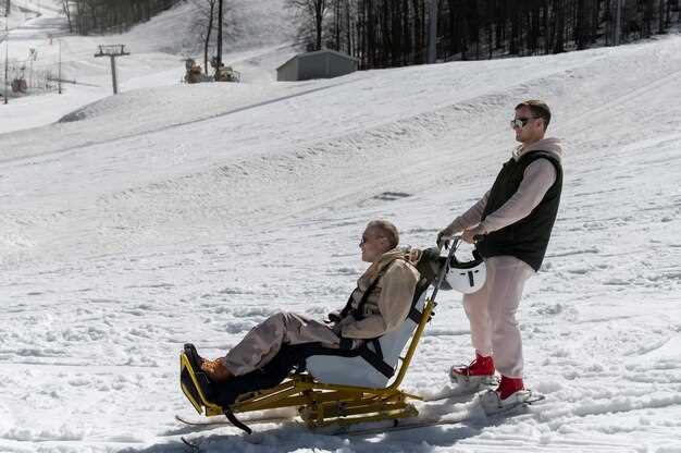 Availability of Models: Market Offerings for Gas and Electric Snowmobiles