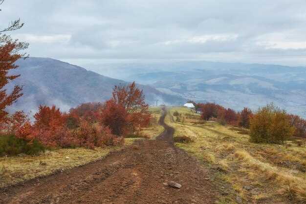 Top 10 Off-Road Trails in Northwest Tennessee